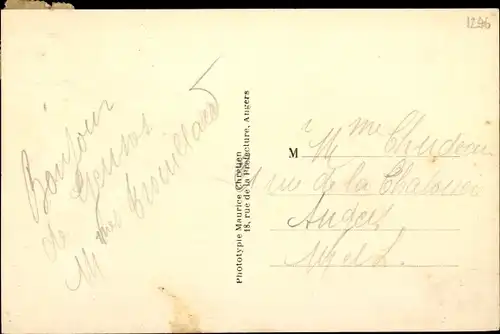 Ak Les Rosiers sur Loire Maine et Loire, Vue panoramique prise du clocher de St. Eusebe