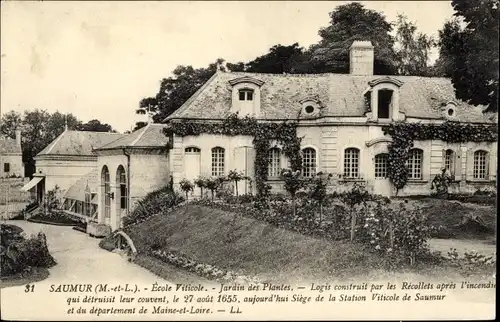 Ak Saumur Maine et Loire, Ecole Viticole, Jardin des Plantes