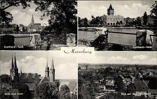 Ak Merseburg an der Saale, Gotthard Teich, Dom, Neumarkt