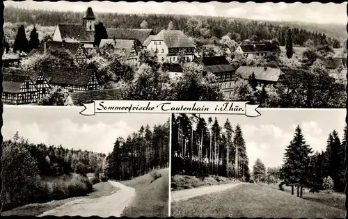 Ak Tautenhain Bad Klosterlausnitz in Thüringen, Panorama vom Ort, Waldpartie