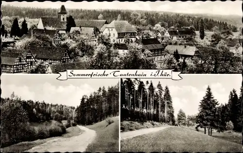 Ak Tautenhain Bad Klosterlausnitz in Thüringen, Panorama vom Ort, Waldpartie