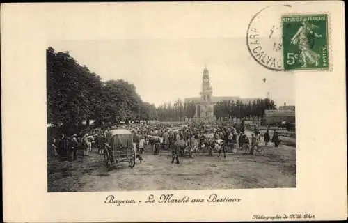 Ak Bayeux Calvados, Le Marché aux Bestiaux