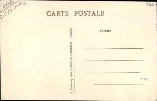 Ak Bayeux Calvados, Le Lion d'Or