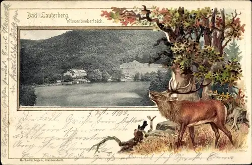 Präge Passepartout Ak Bad Lauterberg im Harz, Wiesenbeekerteich, Hirsch