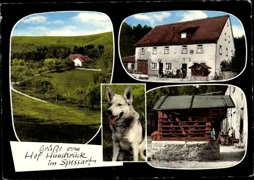 Ak Einöde Hundsrück Dammbach im Spessart, Hof Hundsrück