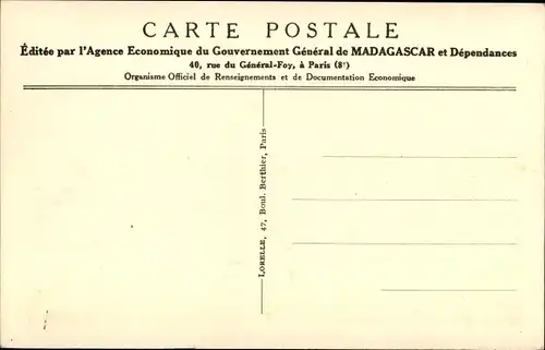Ak Madagaskar Madagascar, Recolte du riz, Reisernte