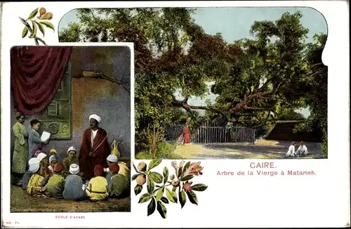 Passepartout Ak Cairo Kairo Ägypten, Ecole d'Arabe, Arbre de la Vierge a Matarieh