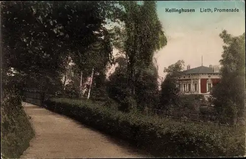 Ak Kellinghusen in Holstein, Lieth, Promenade