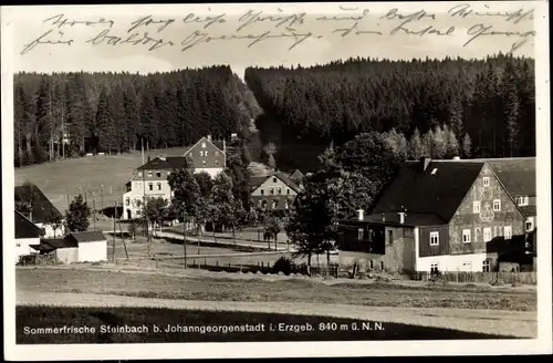 Ak Steinbach Johanngeorgenstadt im Erzgebirge, Teilansicht