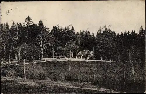 Ak Ohrdruf in Thüringen, Scherers Hütte, Waldpartie
