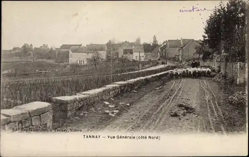 Ak Tannay Nièvre, Vue Generale