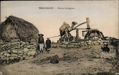 Ak Mazagan Marokko, Noria Indigene