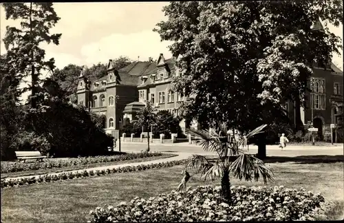 Ak Bad Schmiedeberg in der Dübener Heide, Kurpark