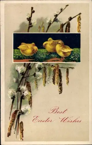 Präge Ak Glückwunsch Ostern, Küken und Weidenkätzchen