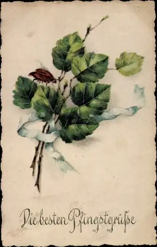 Ak Glückwunsch Pfingsten, Maikäfer am Blatt