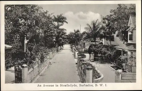 Ak Bridgetown Barbados, Strathclyde, An Avenue