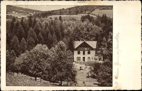 Ak Tauchen Mönichkirchen in Niederösterreich, Schaueregg, Pension Villa Waldfriede