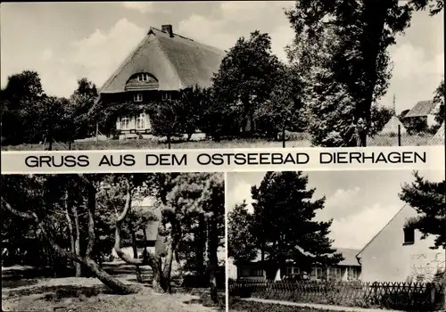 Ak Ostseebad Dierhagen, Reetdachhaus, Teilansicht, Baum