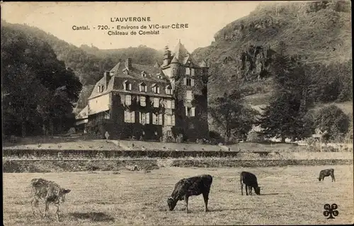 Ak Vic sur Cère Cantal, Chateau de Comblat