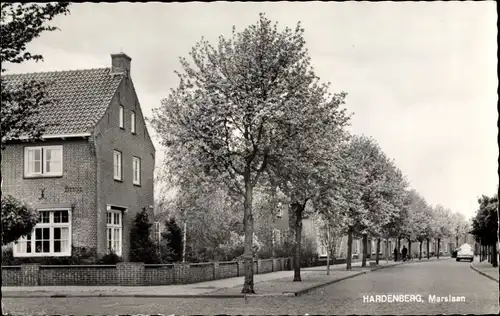 Ak Hardenberg Overijssel Niederlande, Marslaan