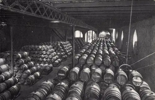 Ak Casa Codorniu, San Sadurni de Noya, Una bodega