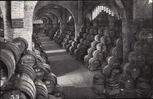 Ak Casa Codorniu, San Sadurni de Noya, Una bodega