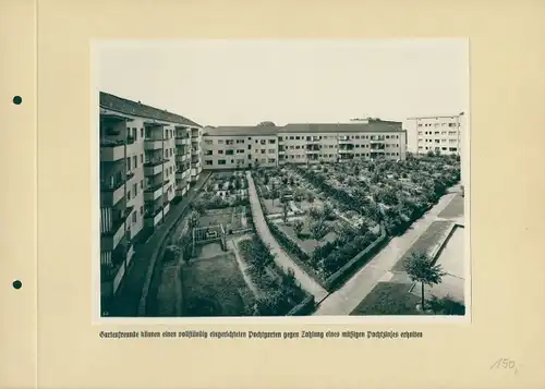 Foto Berlin, Wohnblock, Pachtgärten, Spar- und Bauverein