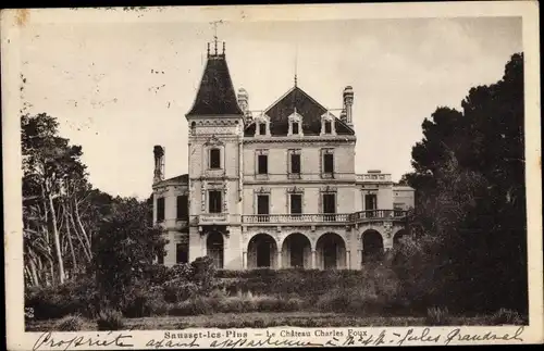 Ak Sausset les Pins Bouches du Rhône, Le Chateau Charles Foux