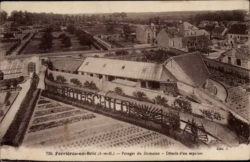 Ak Ferrieres en Brie Seine et Marne, Potager du Domaine, Details d'un espalier