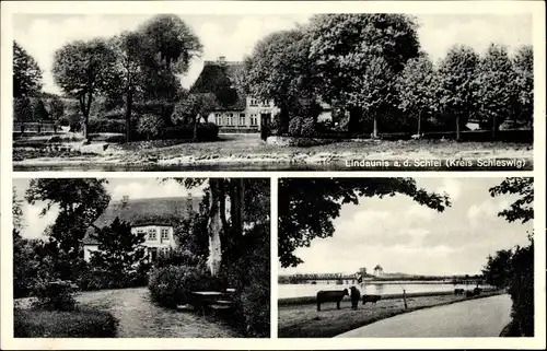 Ak Lindaunis Boren an der Schlei, Gasthof, Panorama