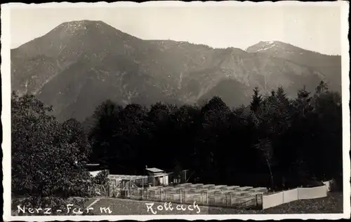 Foto Ak Rottach Egern in Oberbayern, Nerz Farm