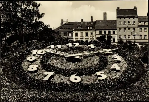 Ak Görlitz in der Lausitz, Blumenuhr