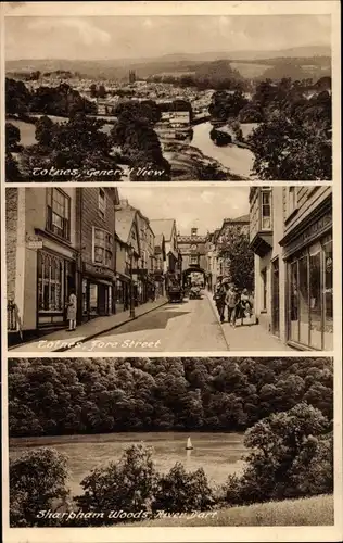 Ak Totnes Devon, General View, Fore Street, Sharpham Woods, River Dart