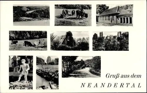 Ak Mettmann in Nordrhein Westfalen, Neandertal, Kühe, Landschaftsansichten, Neandertaler