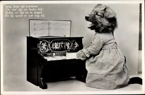 Ak Vermenschlichter Hund spielt auf dem Klavier