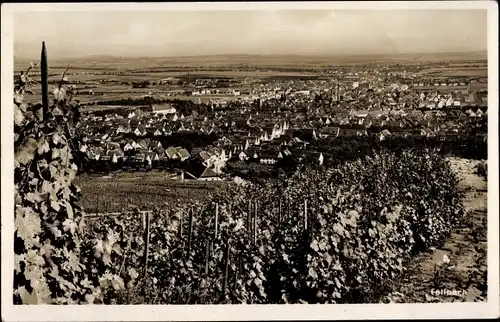 Ak Fellbach in Baden Württemberg, Panorama