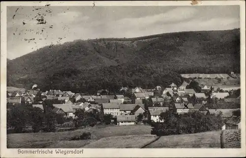 Ak Wiegersdorf Harztor Kreis Nordhausen Thüringen, Panorama