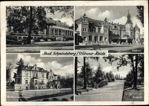 Ak Bad Schmiedeberg in der Dübener Heide, Moorsanatorium, Kurhaus, Kurpark, Eisenmoorbad