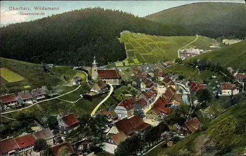 Ak Wildemann Clausthal Zellerfeld im Oberharz, Gesamtansicht aus der Vogelschau