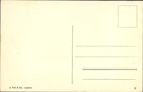 Ak Territet Montreux Kt Waadt, L'Hôtel des Alpes