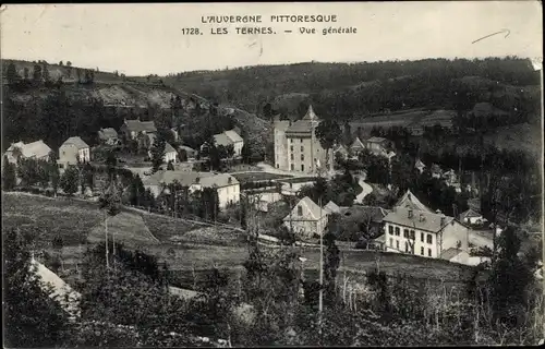 Ak Les Ternes Cantal, Vue generale