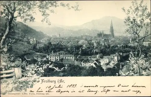 Ak Freiburg im Breisgau, Panorama