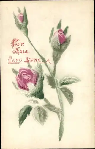 Präge Ak For auld lang syne, Rose