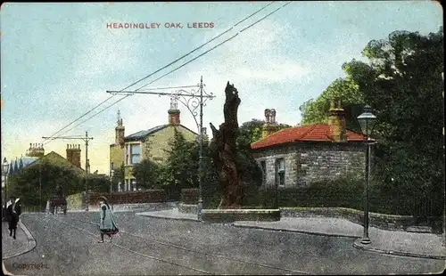 Ak Leeds Yorkshire England, Headingley Oak