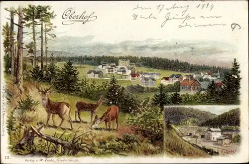 Ak Oberhof im Thüringer Wald, Bahnhof, Ortsansicht, Rehe