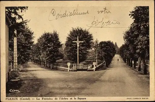 Ak Pleaux Cantal, La Fontaine de l'Arbre et le Square