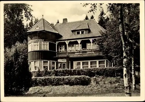 Ak Hasselfelde Oberharz am Brocken, Hotel und Pension Waldkrone