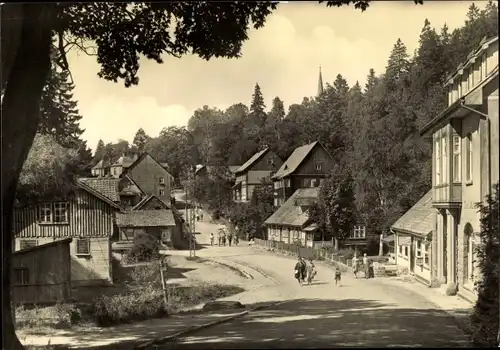 Ak Schierke Wernigerode am Harz, Kirchberg