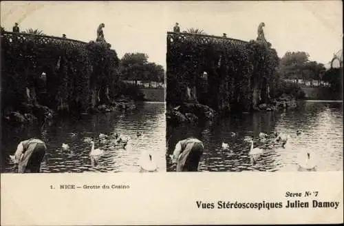 Stereo Ak Nice Nizza Alpes Maritimes, Grotte du Casino, Schwäne