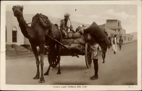 Ak Maala Load Camels and Cart, Transport